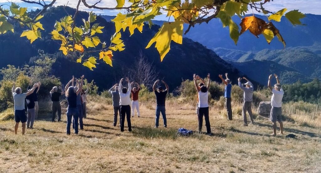 Qi Gong Philippe Guillement